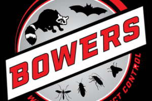 Bowers Wildlife and Insect Control Leads The Charge Against Yellow Jacket Infestations