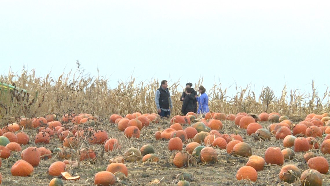 Pride of the Wapsi Pumpkin Smash Compost aims to help environment