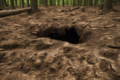 Beware of Holes in the Woods: Potential Dangers Lurking